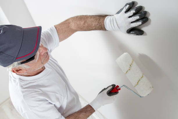 Best Biohazard Mold Removal  in Palm Beach, FL