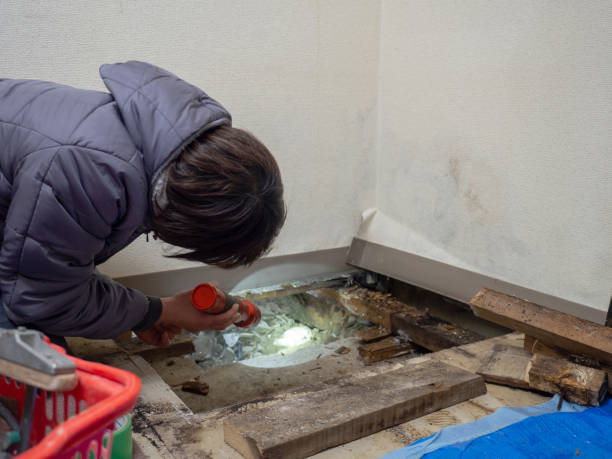 Best HVAC Mold Inspection and Cleaning  in Palm Beach, FL