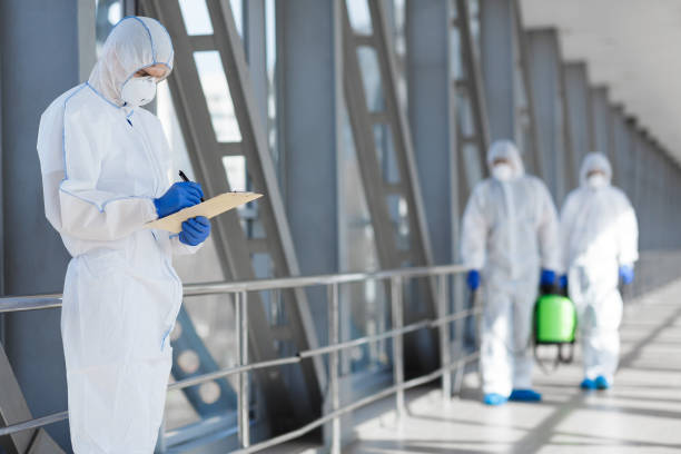 Best Mold Documentation for Insurance Claims  in Palm Beach, FL