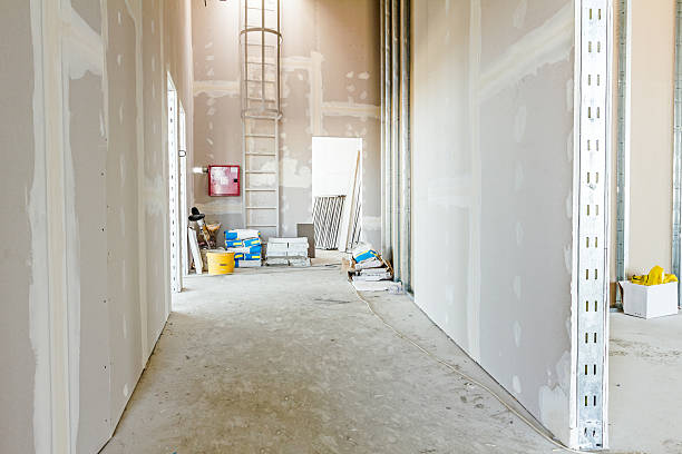Best Asbestos and Lead Testing During Mold Inspection  in Palm Beach, FL